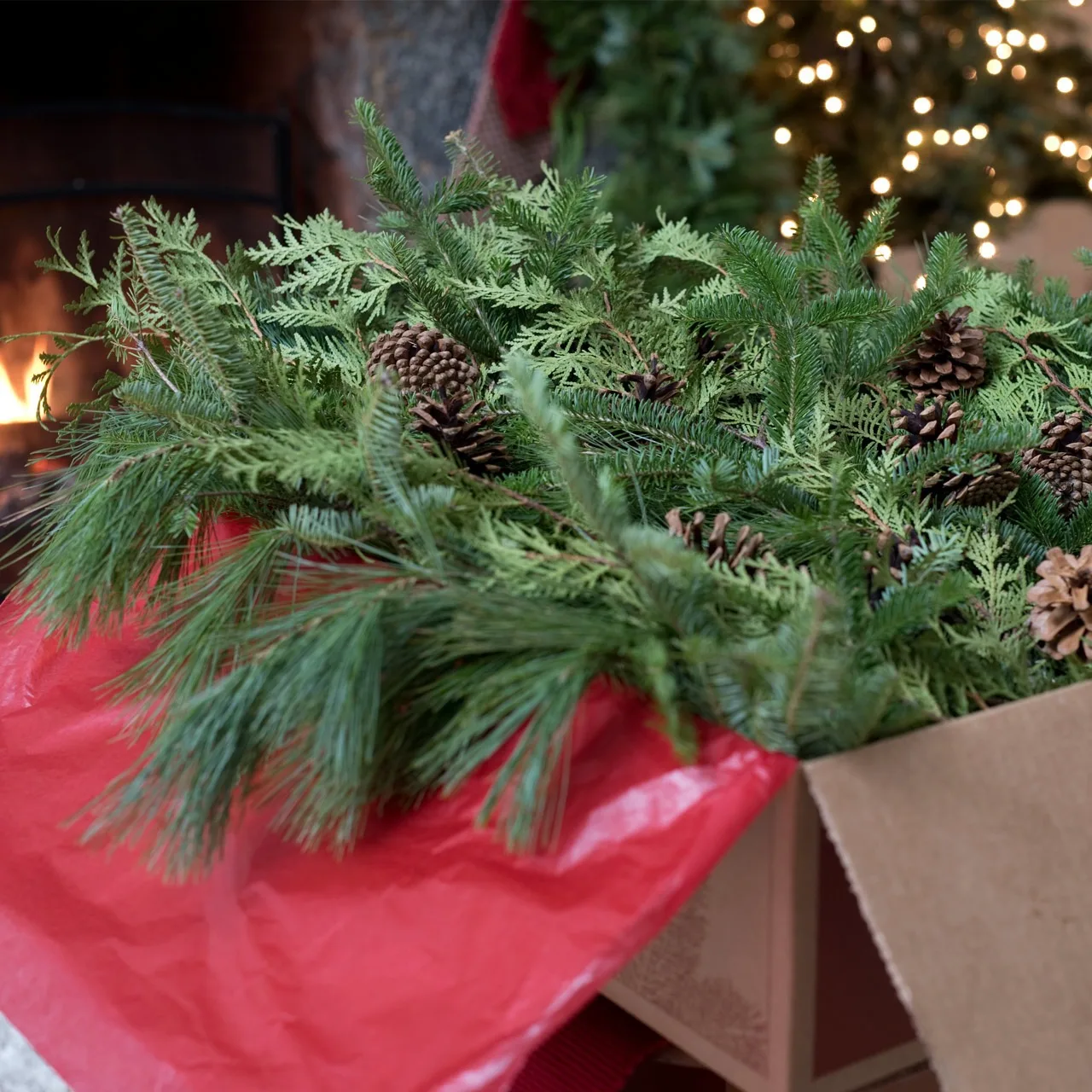 A box of freshly cut cedar and pine boughs with pinecones, just opened