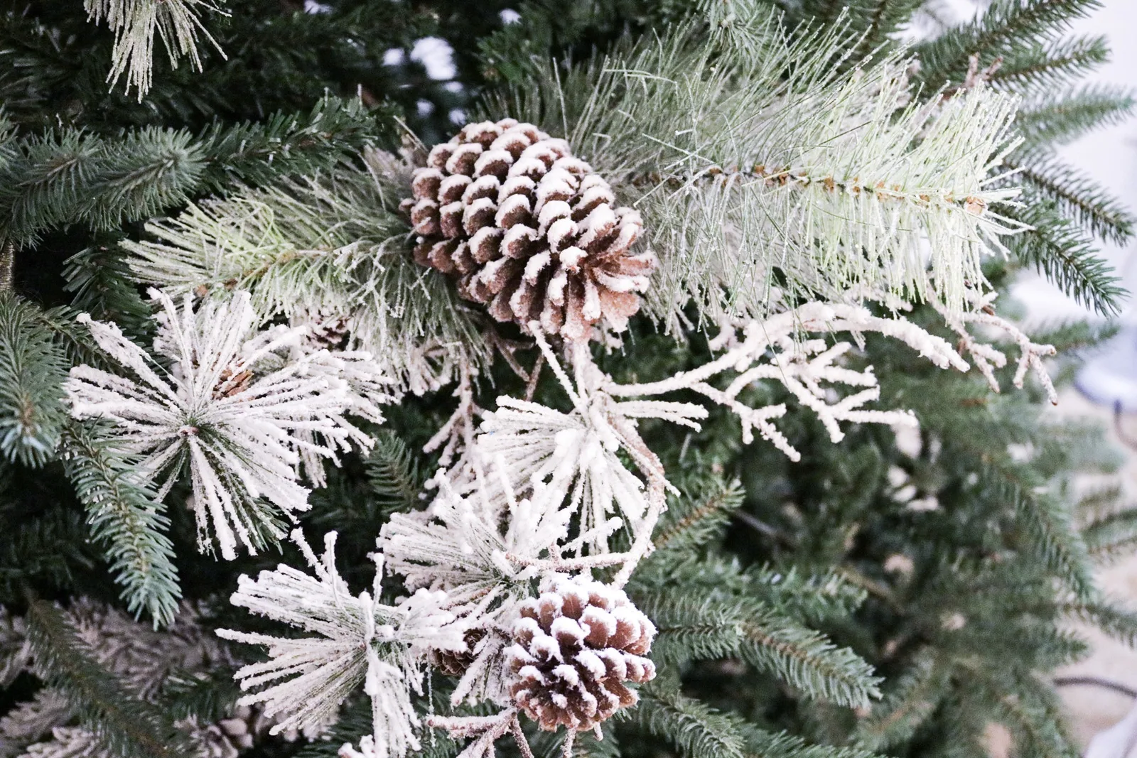A snowy flocked garland tucked into a Christmas tree, with frosted pinecones and white-tipped branches